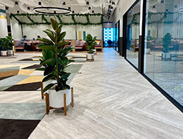 Riqid Core SPC Flooring