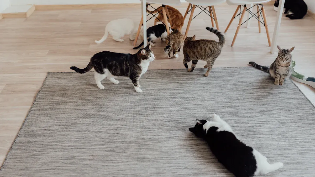 Luxury Vinyl Plank Flooring: Solving Pet Problems