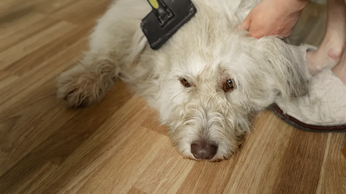 Comfort in Pet-Friendly Flooring