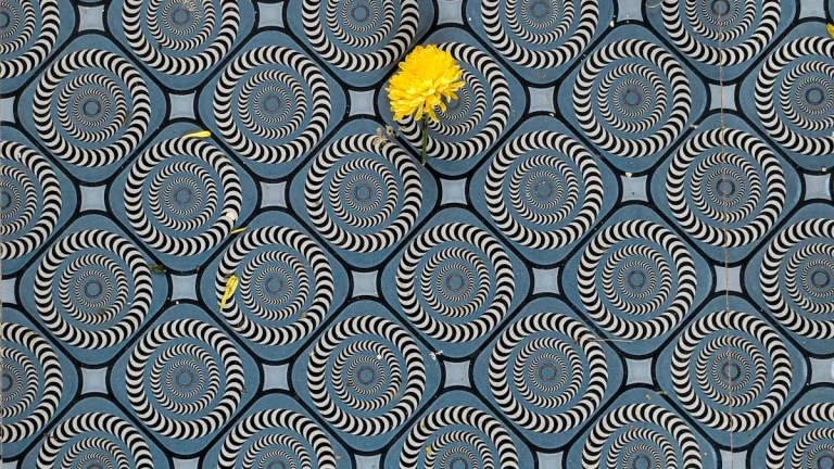 Bold and Beautiful Vinyl Floor Patterns to Try This Year