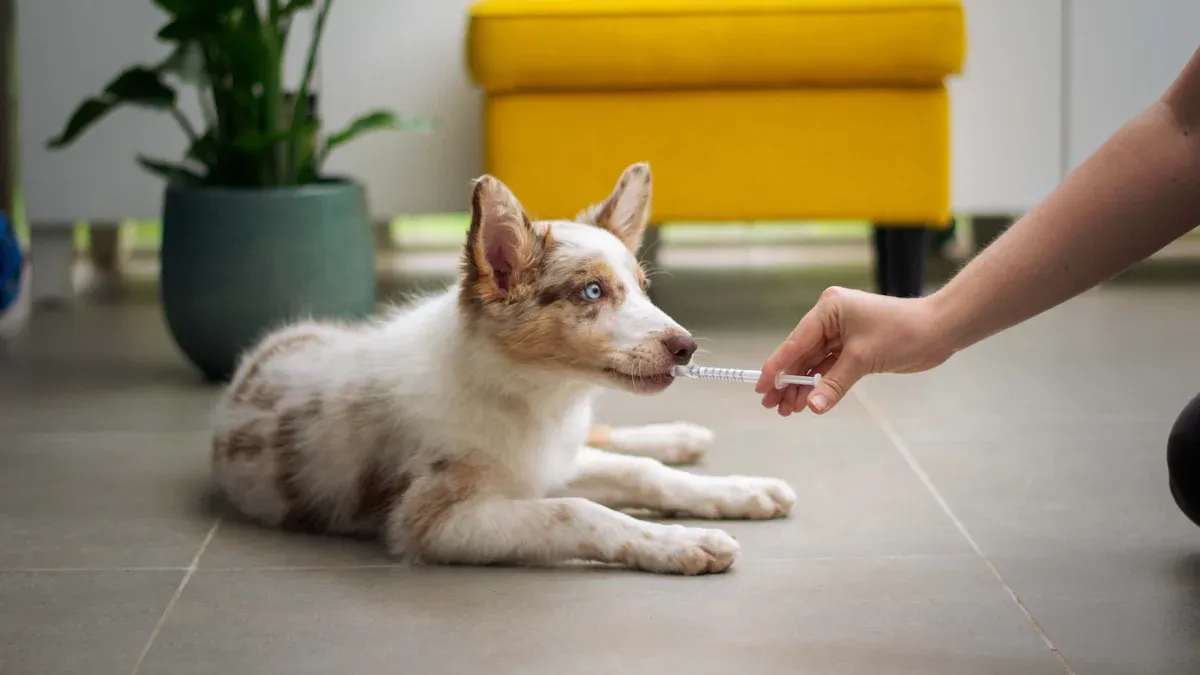 Comparing comfort and maintenance vinyl vs laminate with pets