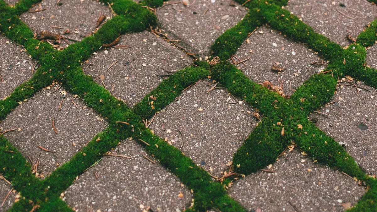 The Role of Wear Layer Thickness