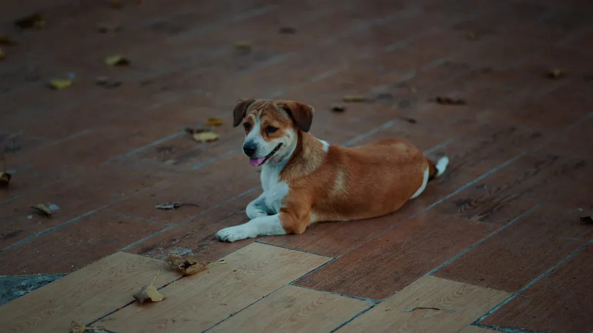 Top 10 Non-Slip Flooring for Dogs