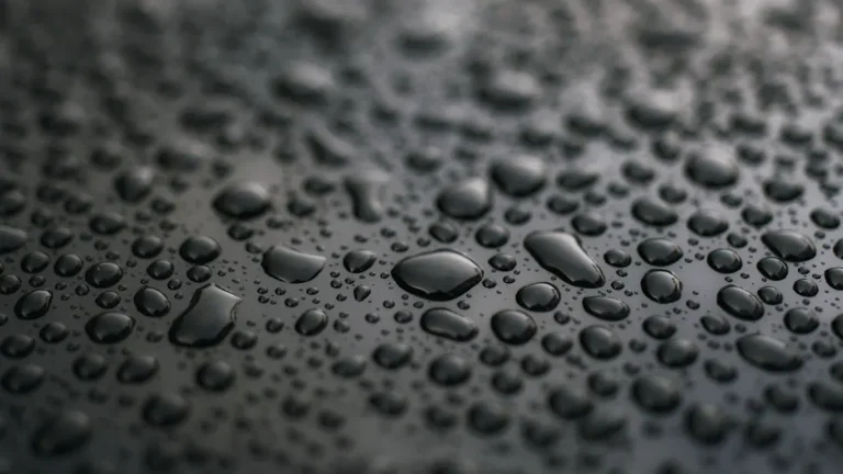 Waterproof vs Water-Resistant A Complete Breakdown for Homeowners