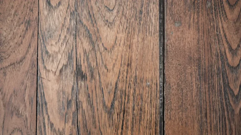 How Vinyl Plank Flooring Performs Against Scratches and Sound in 2026