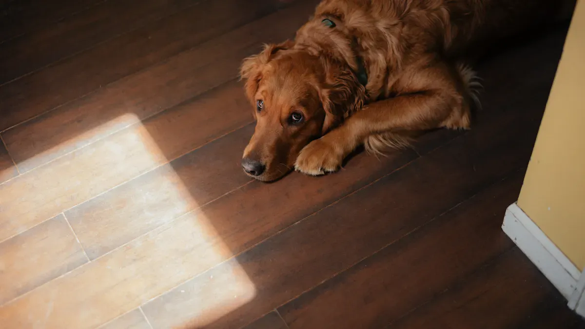 Prevent Scratches: Tips for Pet and Kid-Proof Floors