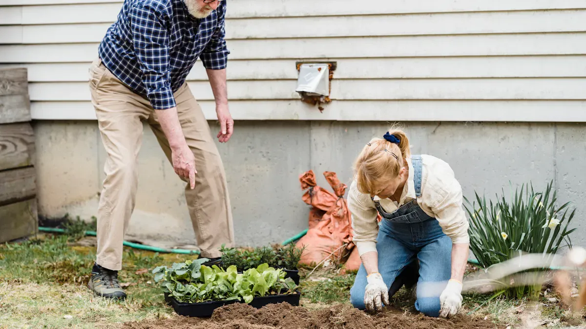 Health Risks for Families During the Toxic Period